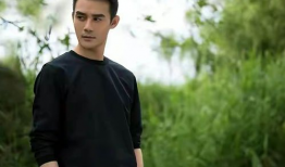 王凯主演的电视剧,情感纠葛与命运抉择