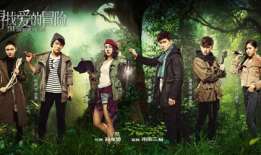 寻宝电视剧,揭秘古墓奇缘