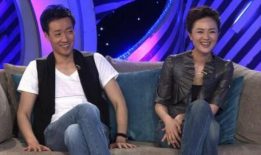 辛柏青电视剧大全,一部电视剧大全的深情回顾